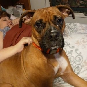 Meet your Posher, Dwayne